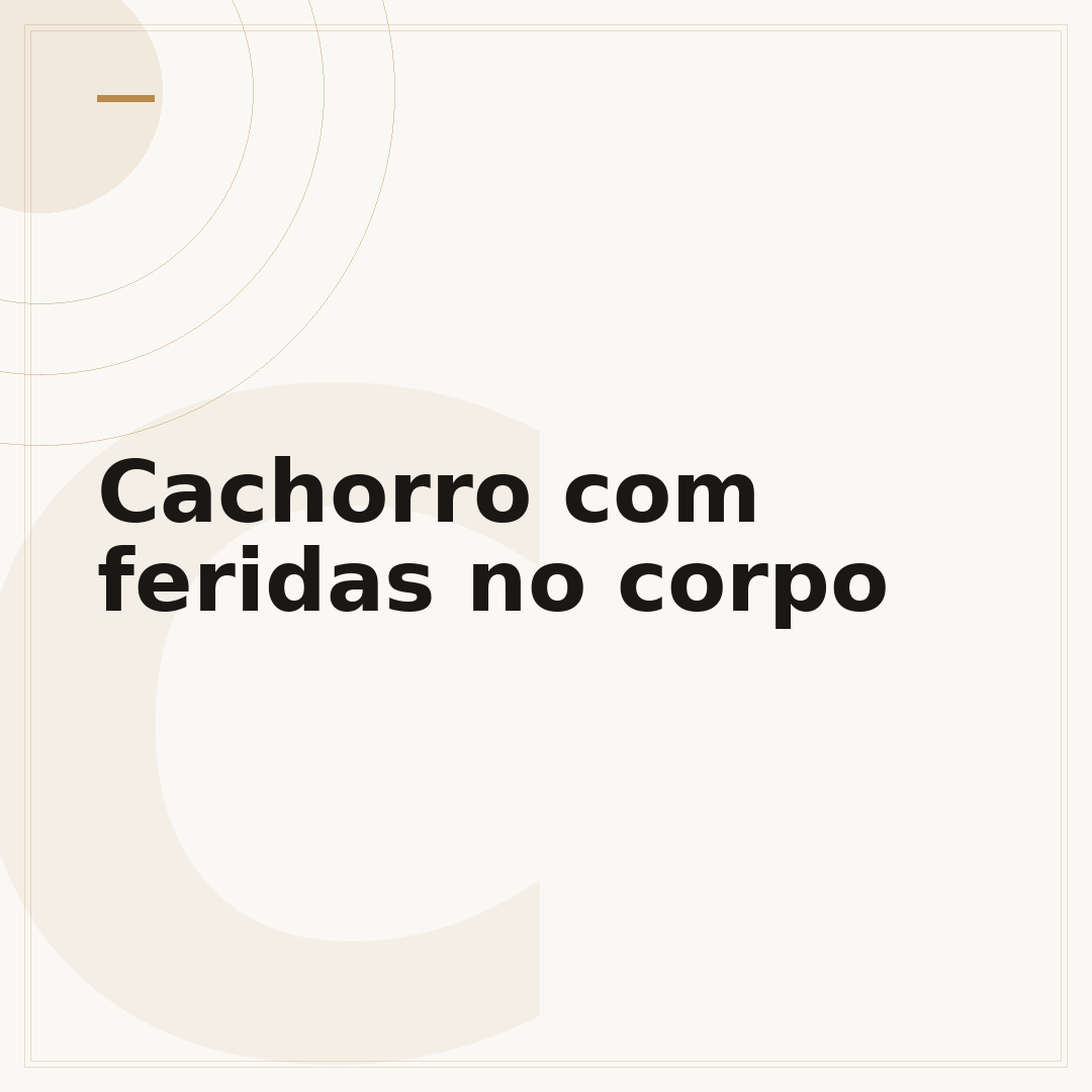 Cachorro com feridas no corpo