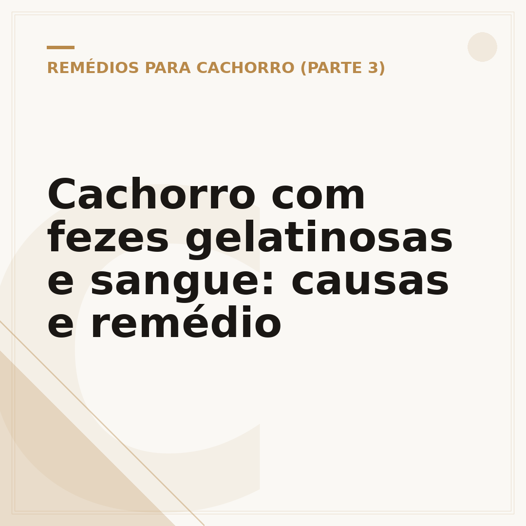 Cachorro com fezes gelatinosas e sangue: causas e remédio
