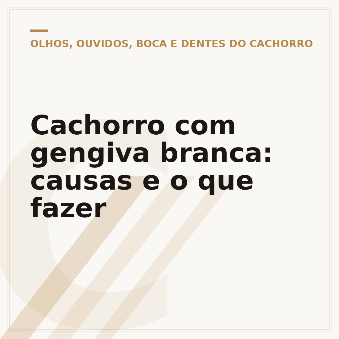 Cachorro com gengiva branca: causas e o que fazer
