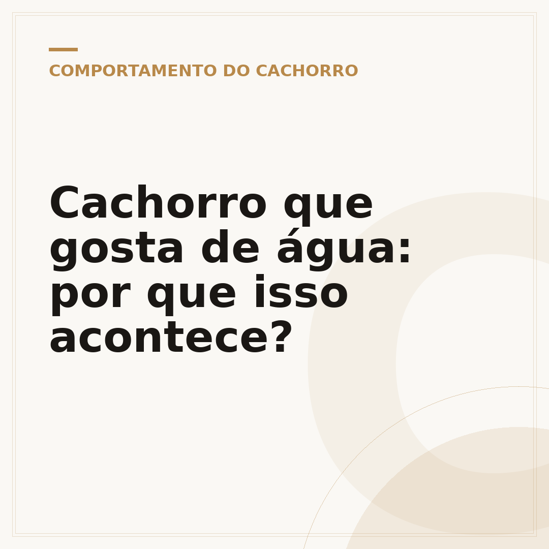 Cachorro que gosta de água: por que isso acontece?