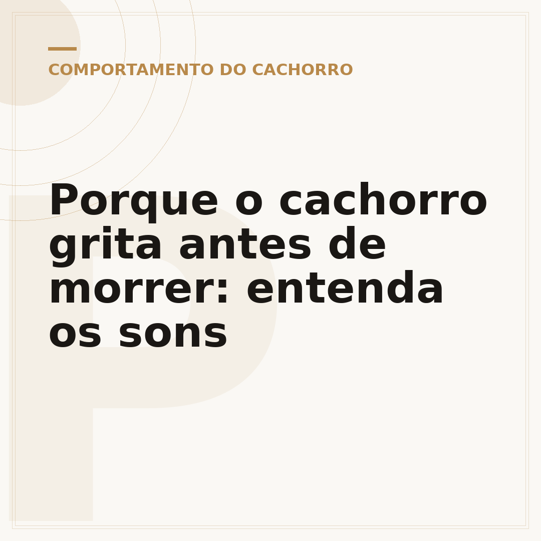 Porque o cachorro grita antes de morrer: entenda os sons