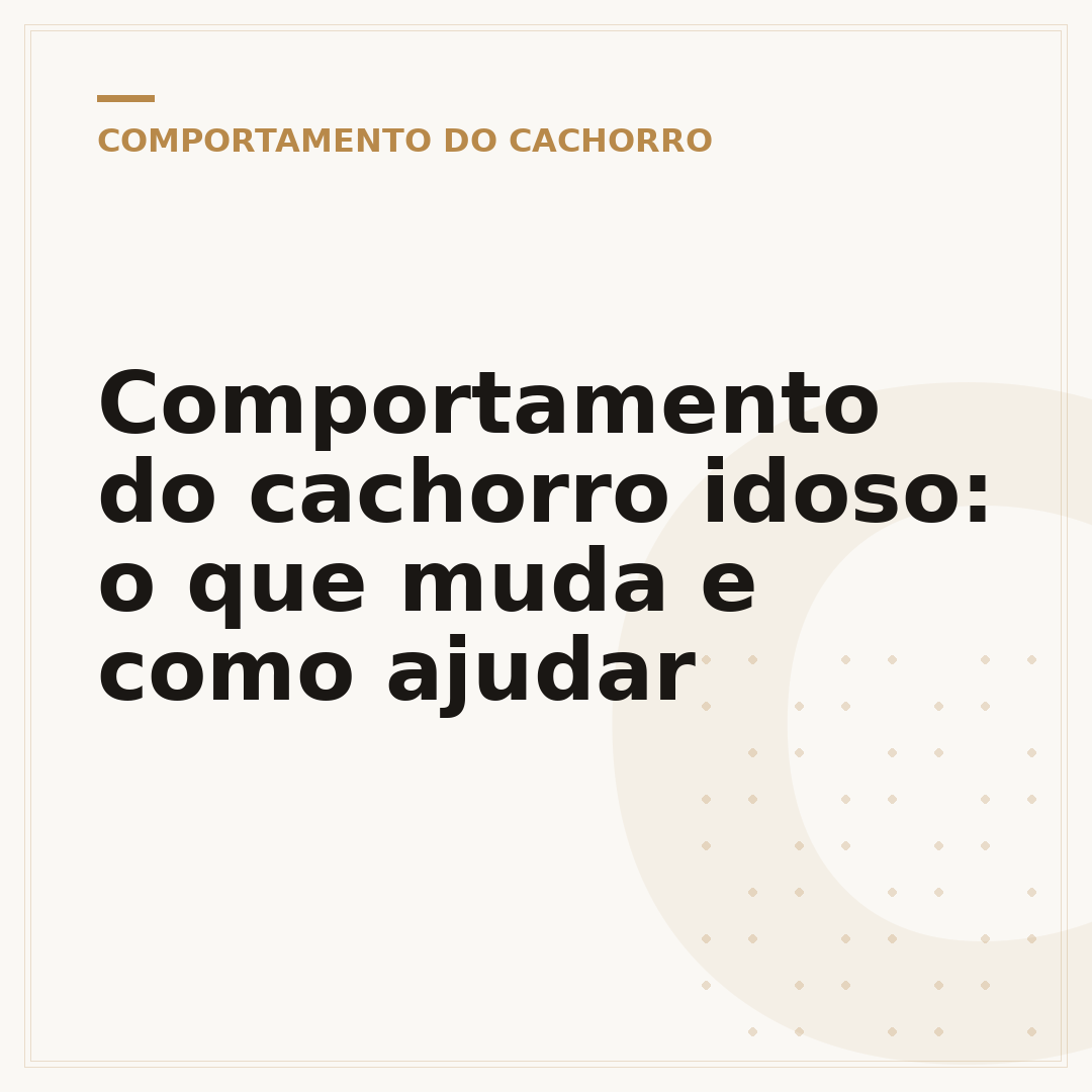 Comportamento do cachorro idoso: o que muda e como ajudar
