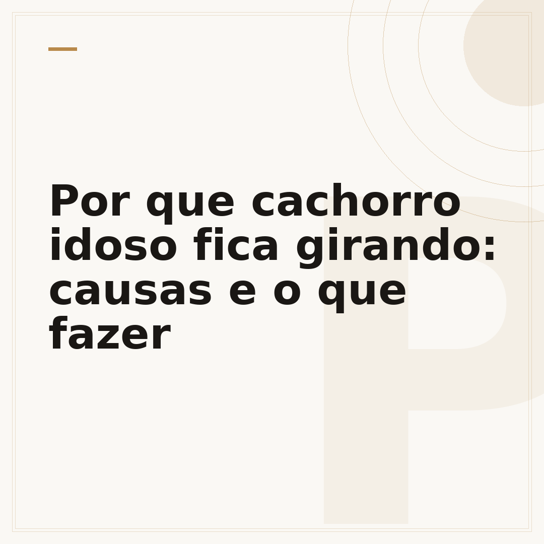 Por que cachorro idoso fica girando: causas e o que fazer