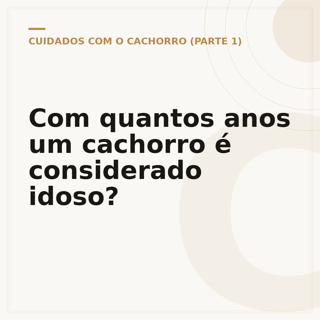 Com quantos anos um cachorro é considerado idoso?