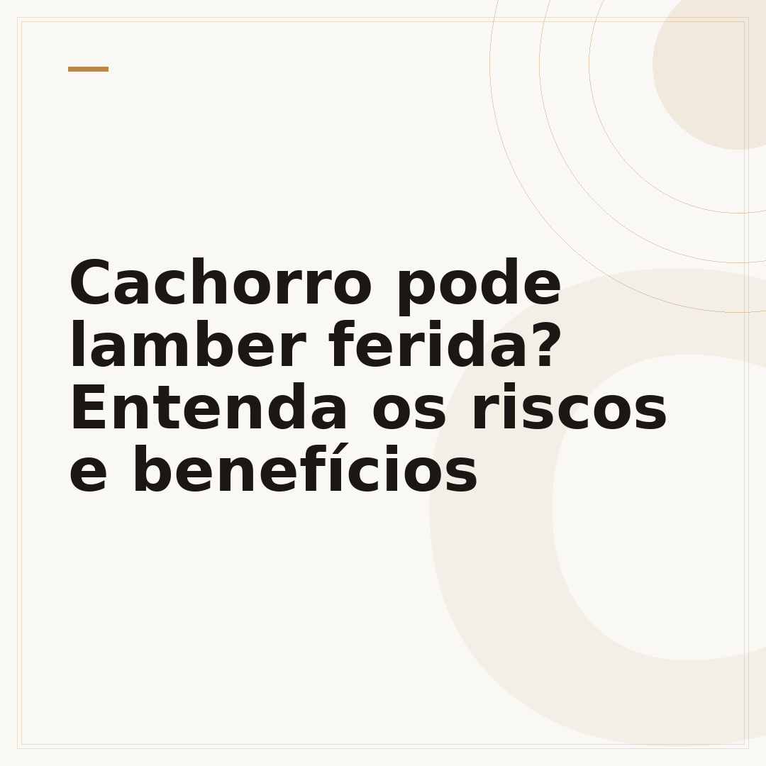 Cachorro pode lamber ferida? Entenda os riscos e benefícios