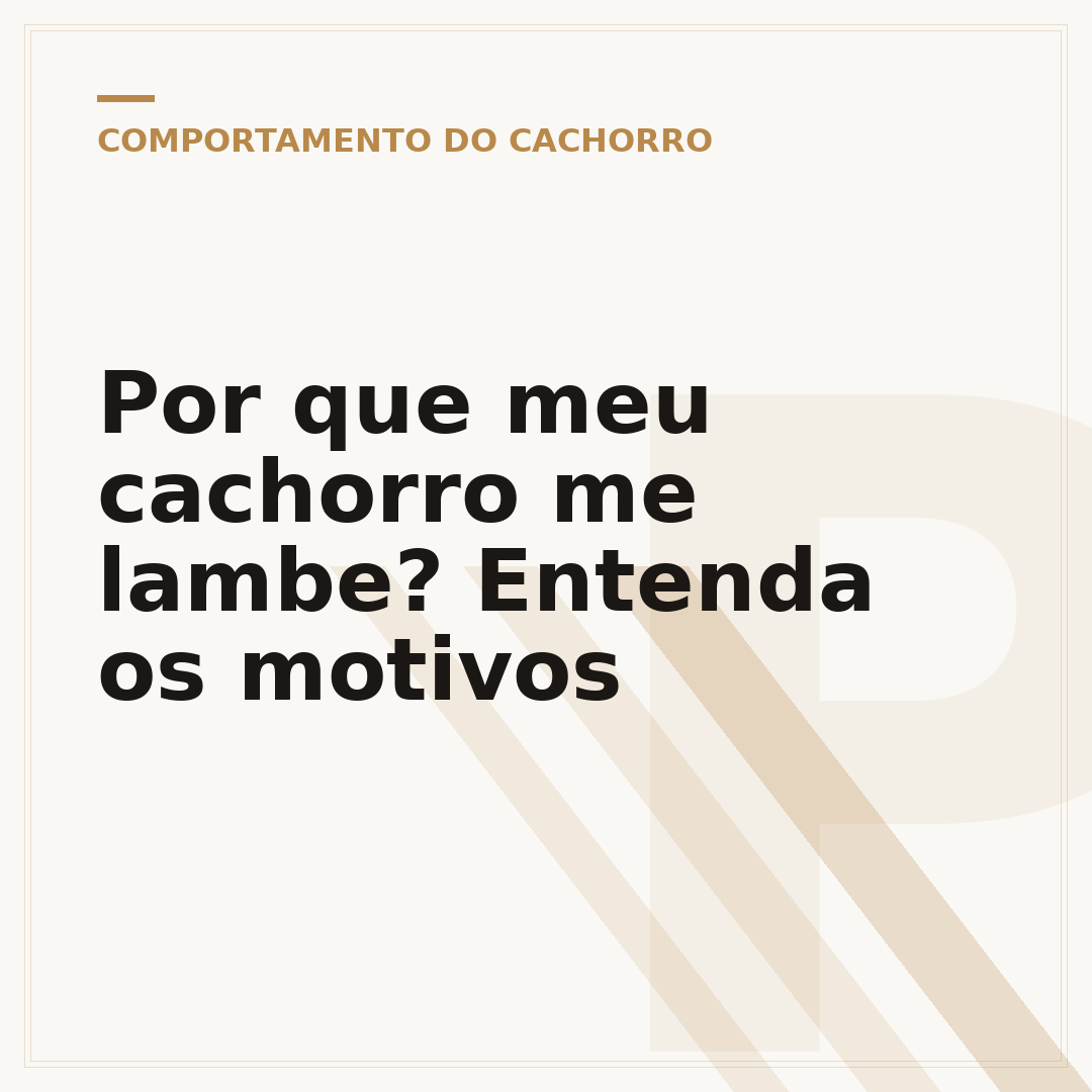 Por que meu cachorro me lambe? Entenda os motivos