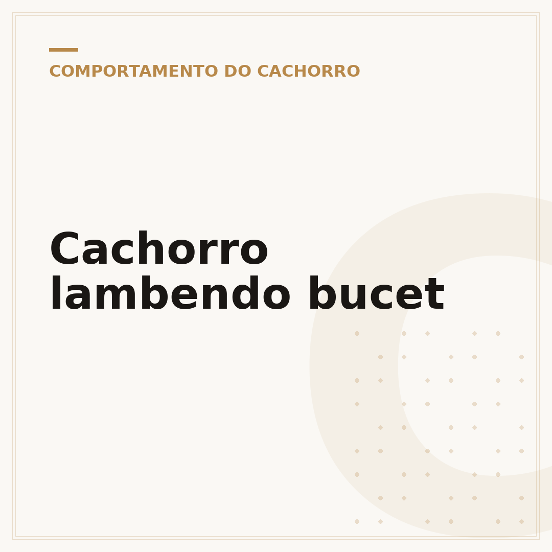 Cachorro lambendo bucet