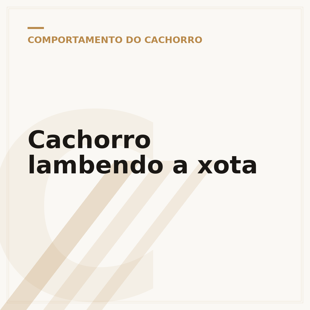 Cachorro lambendo a xota