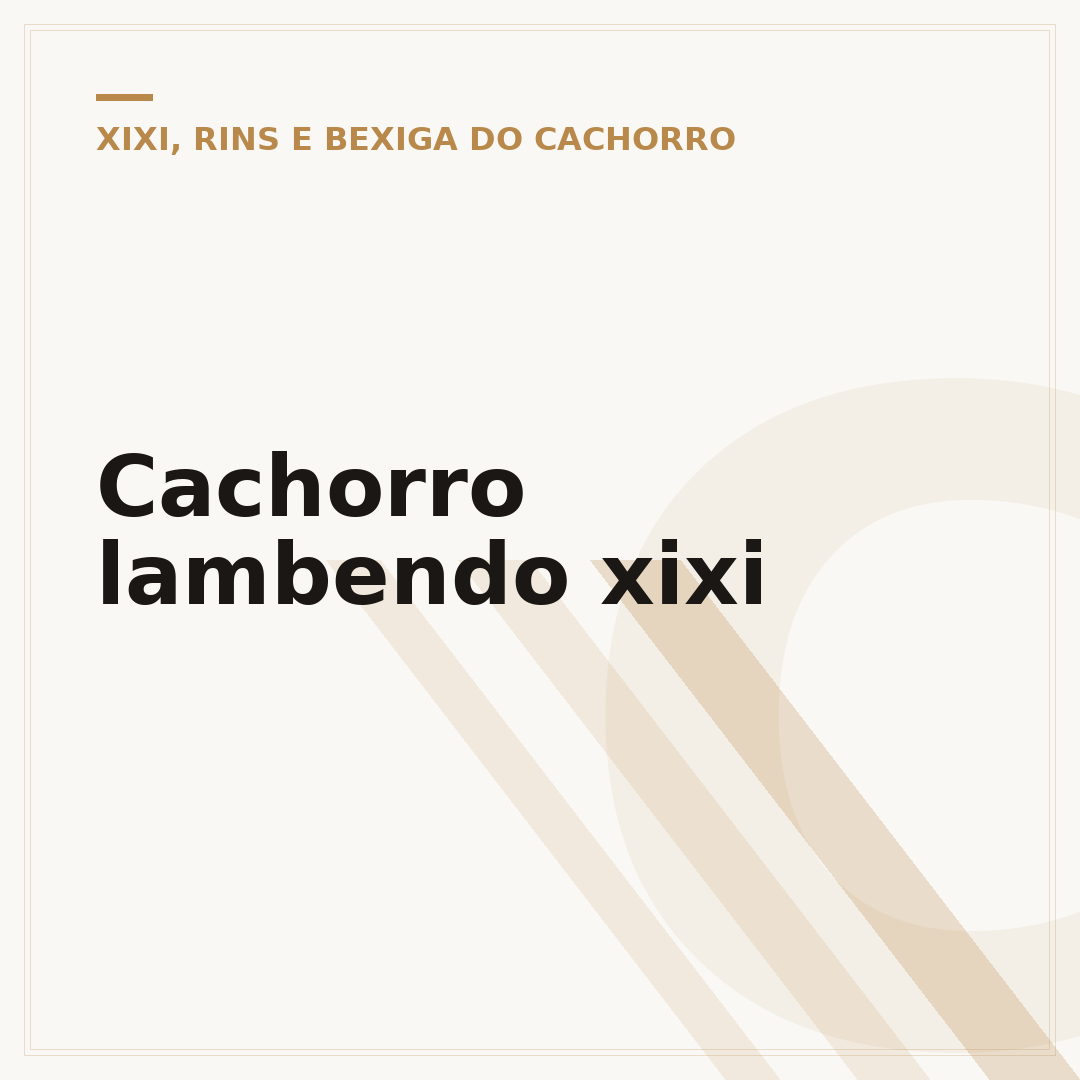 Cachorro lambendo xixi