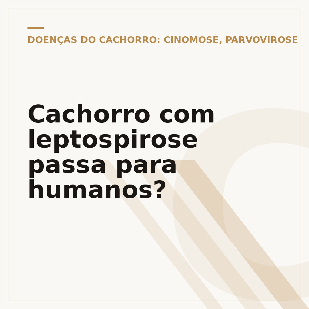 Cachorro com leptospirose passa para humanos?