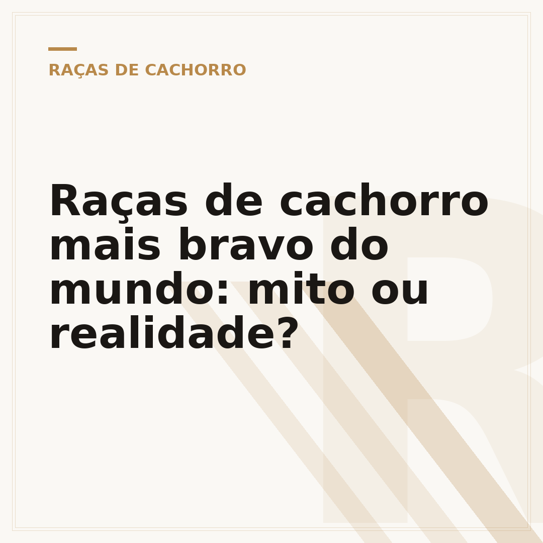 Raças de cachorro mais bravo do mundo: mito ou realidade?