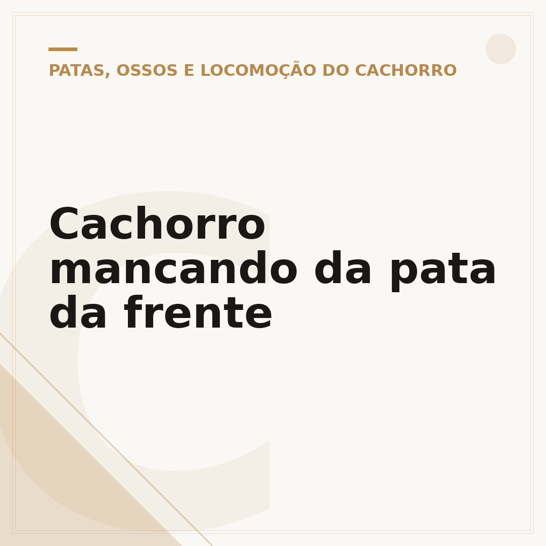 Cachorro mancando da pata da frente