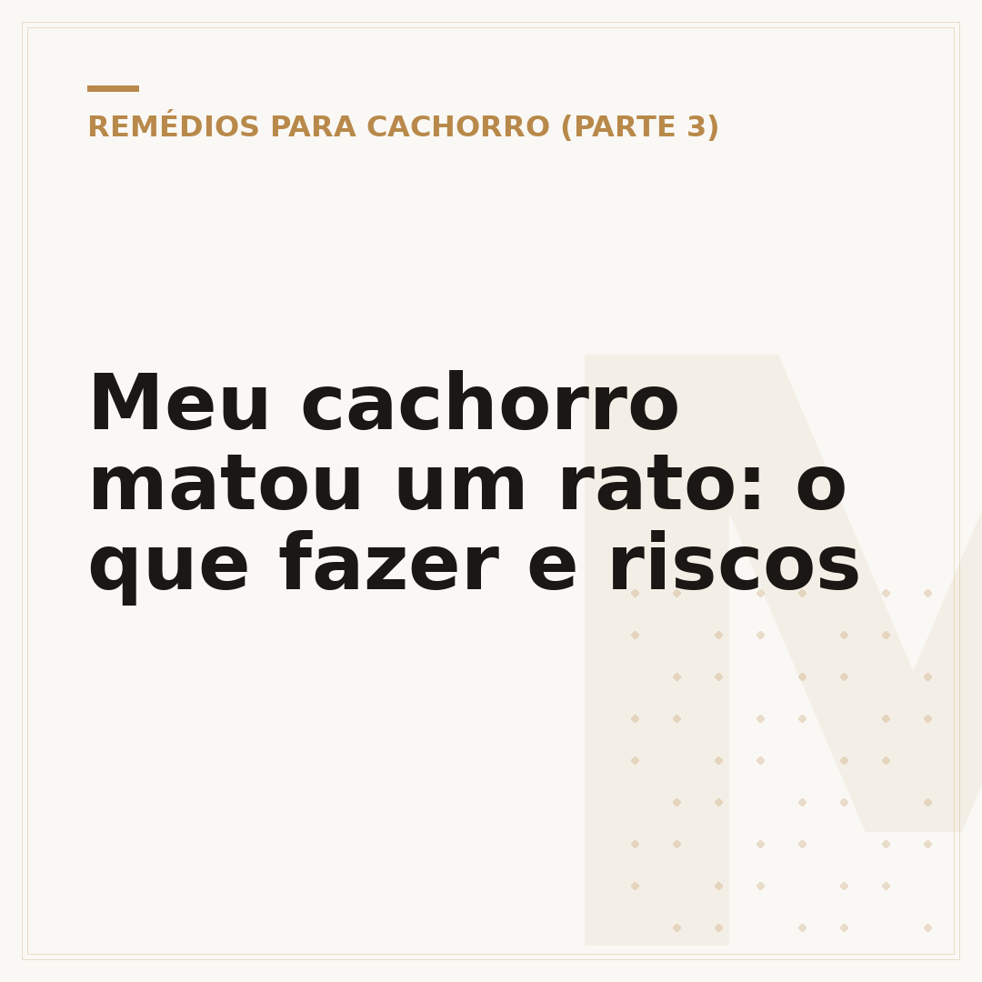 Meu cachorro matou um rato: o que fazer e riscos