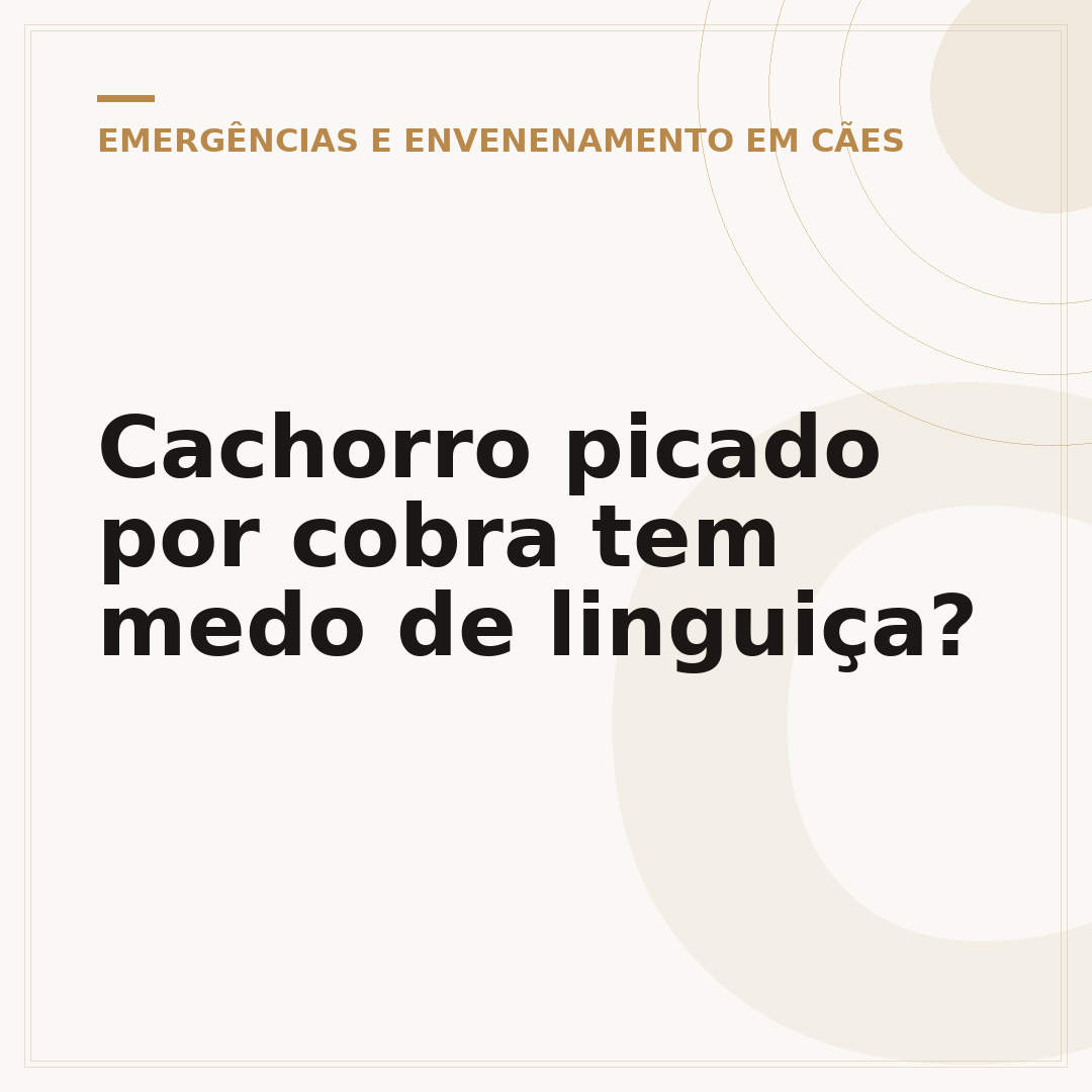 Cachorro picado por cobra tem medo de linguiça?