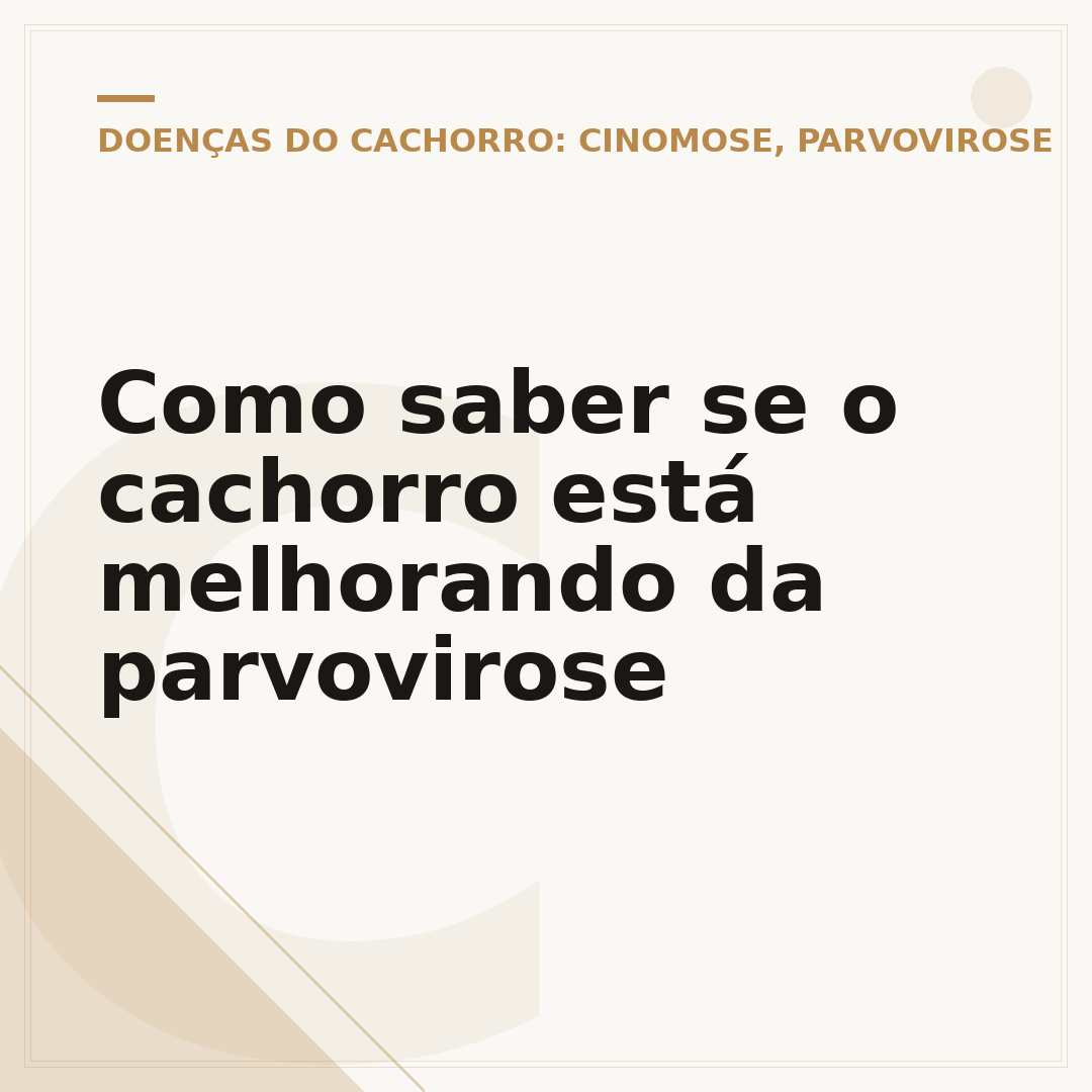 Como saber se o cachorro está melhorando da parvovirose
