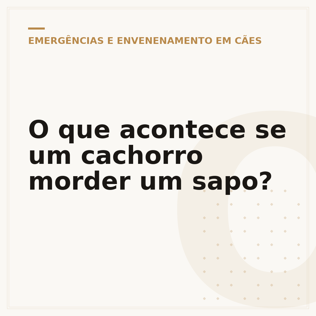 O que acontece se um cachorro morder um sapo?
