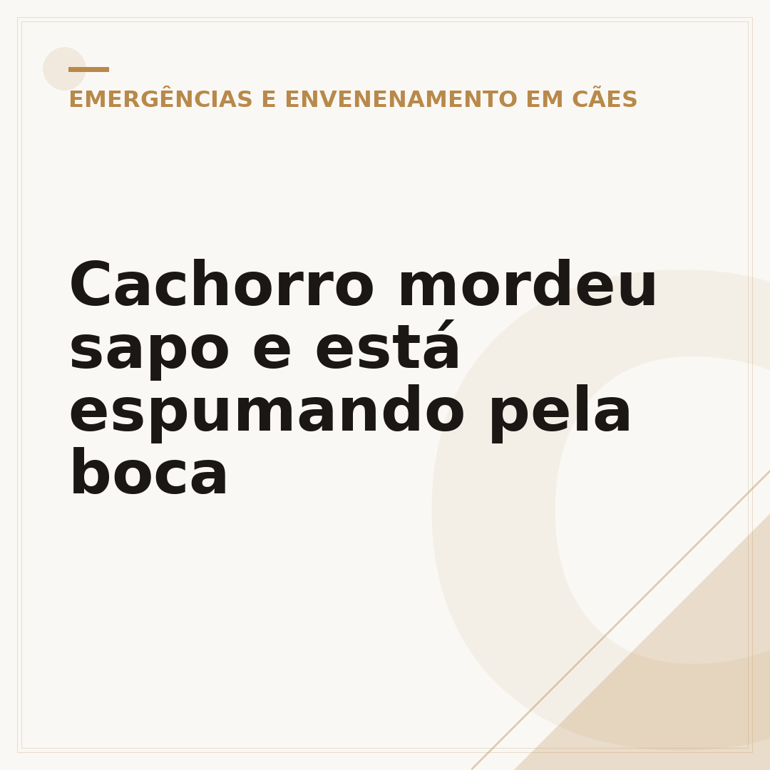 Cachorro mordeu sapo e está espumando pela boca