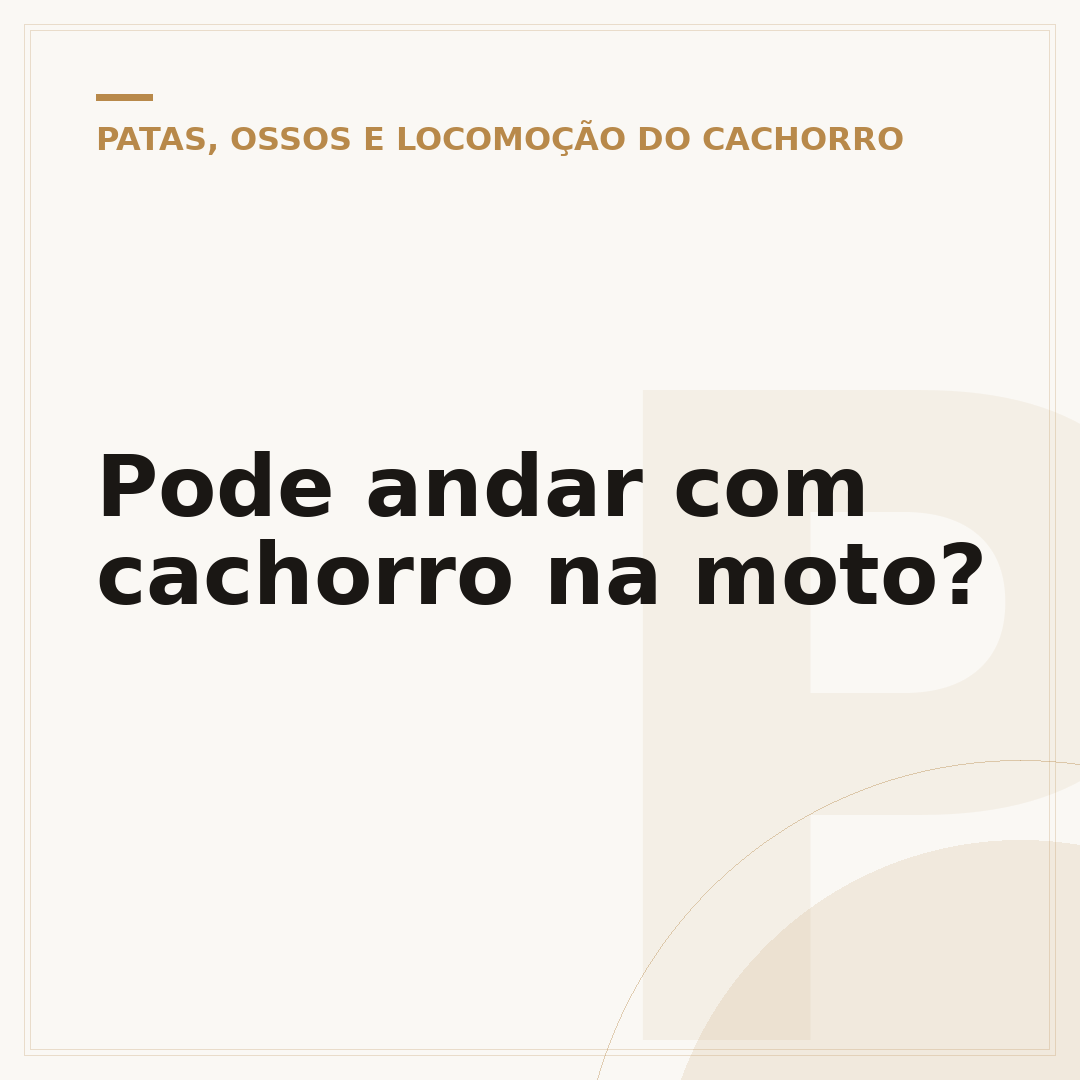 Pode andar com cachorro na moto?