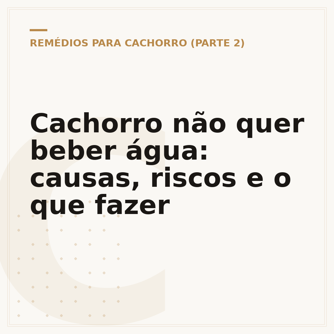 Cachorro não quer beber água: causas, riscos e o que fazer