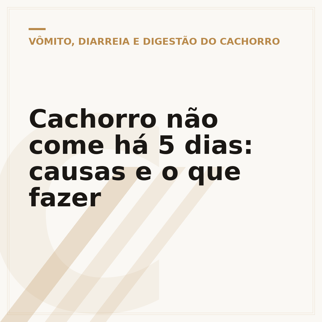 Cachorro não come há 5 dias: causas e o que fazer