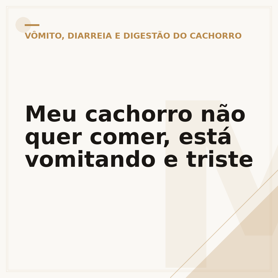 Meu cachorro não quer comer, está vomitando e triste