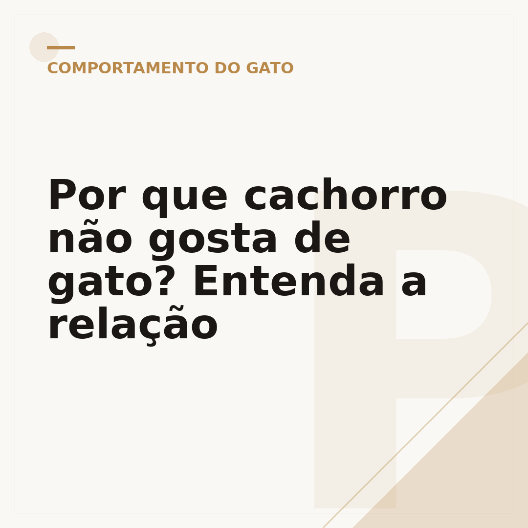 Por que cachorro não gosta de gato? Entenda a relação