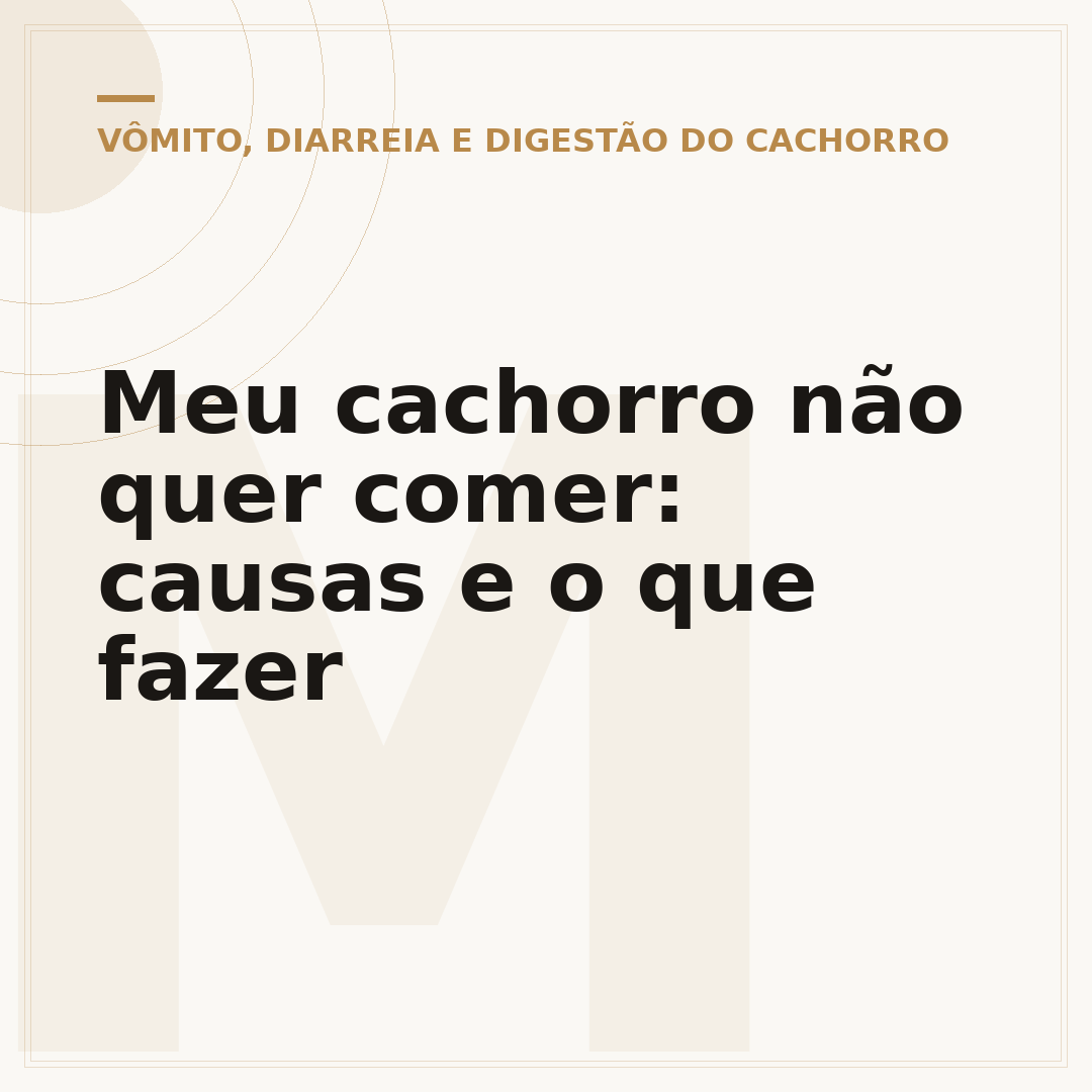 Meu cachorro não quer comer: causas e o que fazer