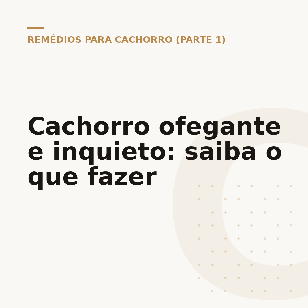 Cachorro ofegante e inquieto: saiba o que fazer