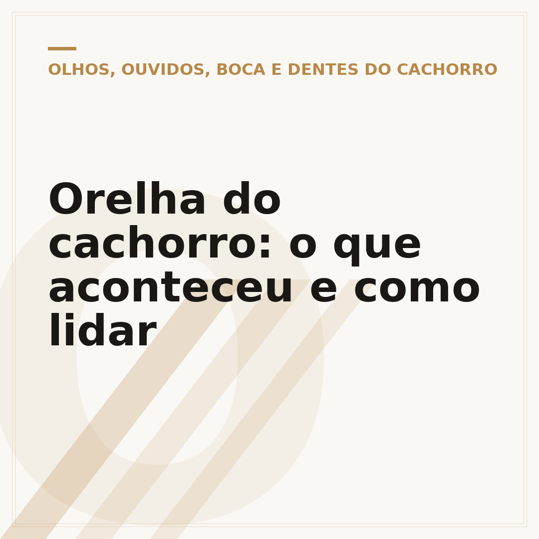Orelha do cachorro: o que aconteceu e como lidar