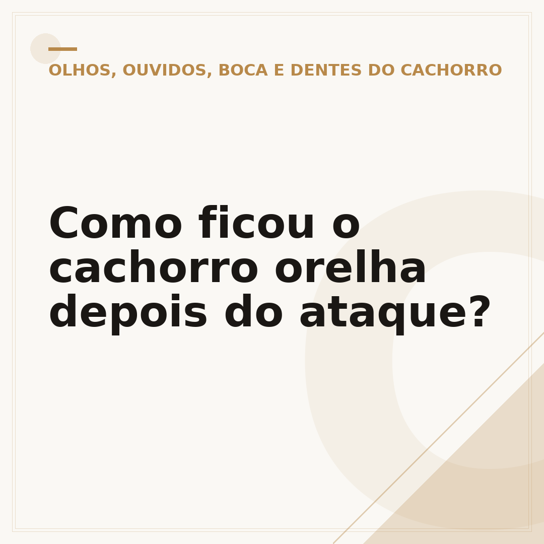 Como ficou o cachorro orelha depois do ataque?
