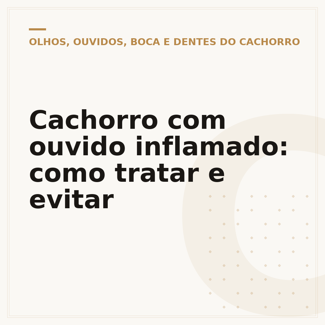 Cachorro com ouvido inflamado: como tratar e evitar