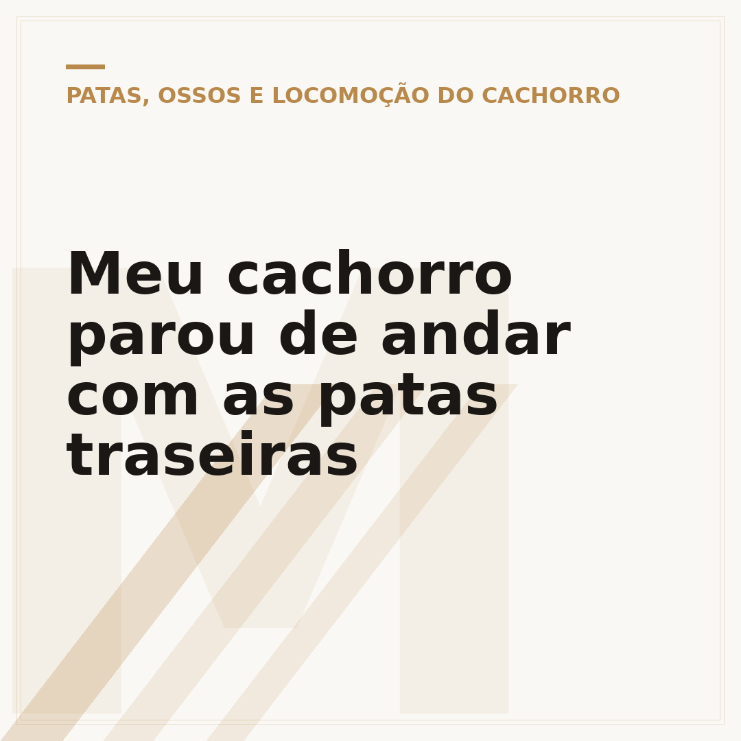 Meu cachorro parou de andar com as patas traseiras