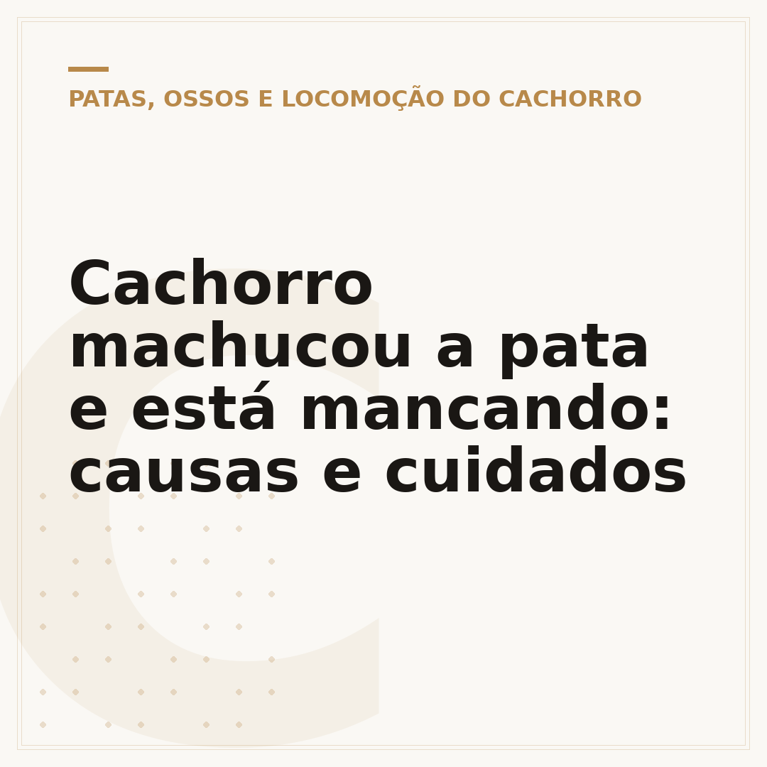 Cachorro machucou a pata e está mancando: causas e cuidados