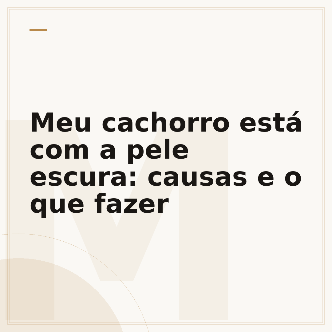 Meu cachorro está com a pele escura: causas e o que fazer