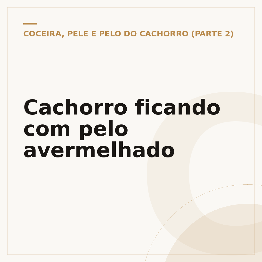 Cachorro ficando com pelo avermelhado