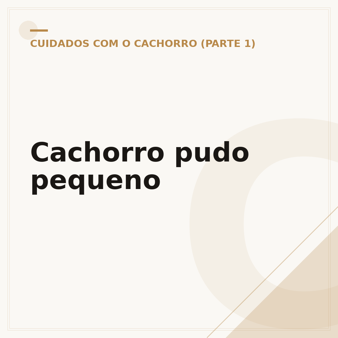 Cachorro pudo pequeno