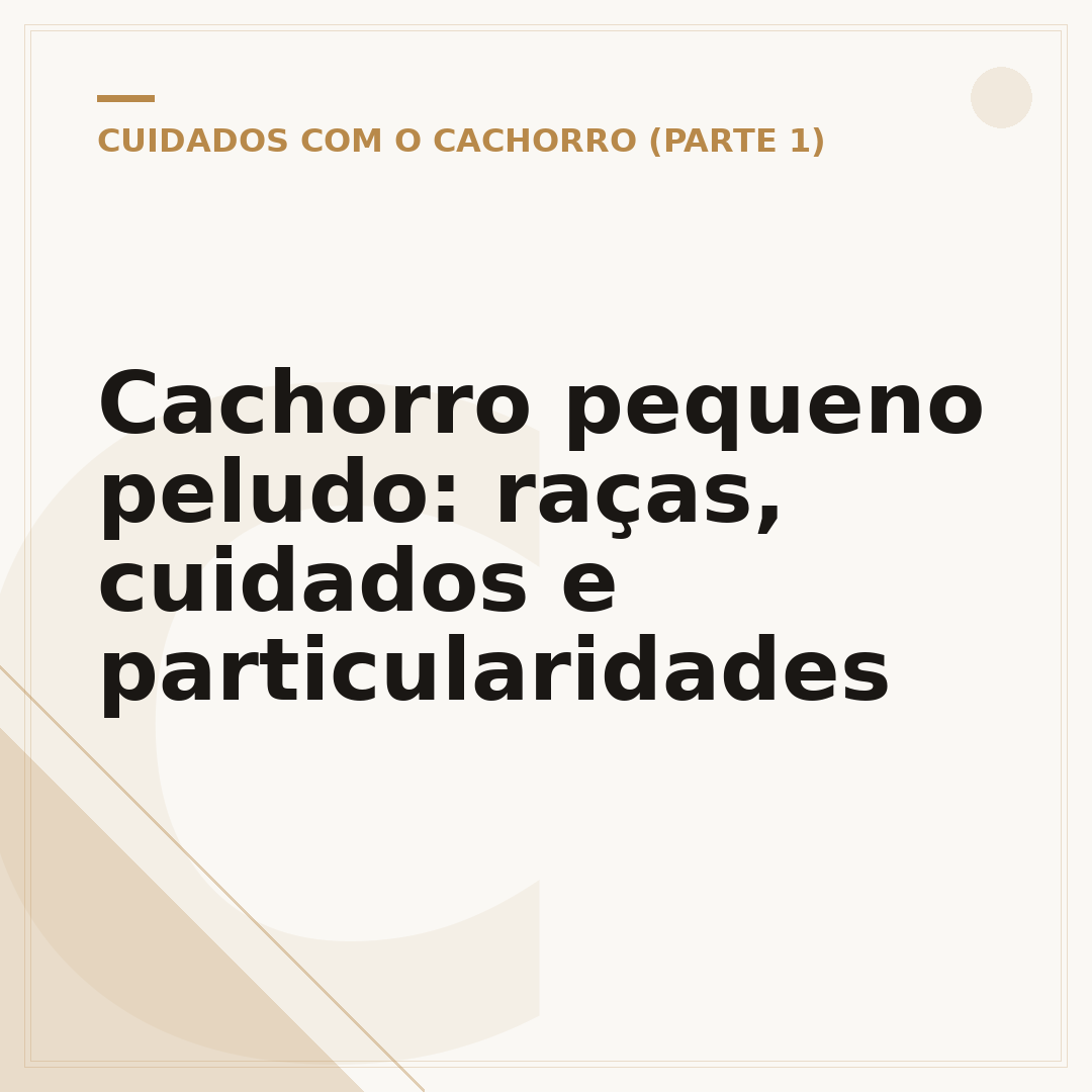 Cachorro pequeno peludo: raças, cuidados e particularidades