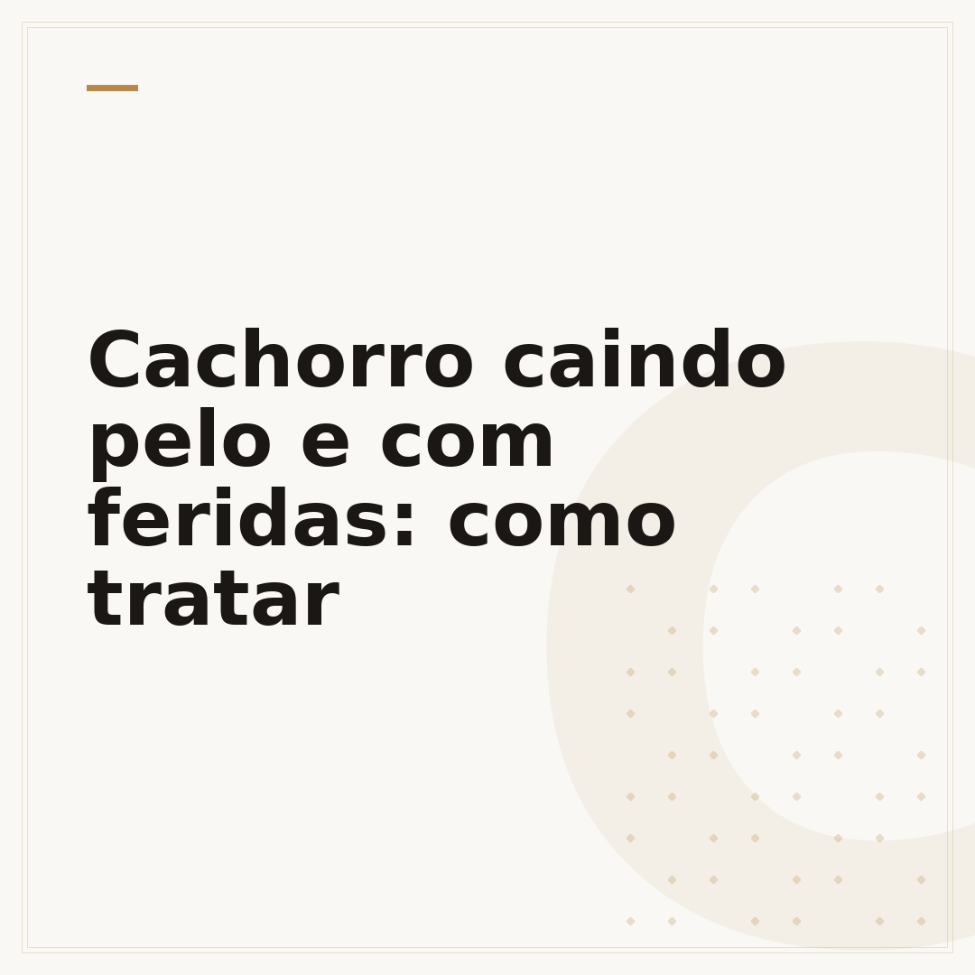 Cachorro caindo pelo e com feridas: como tratar