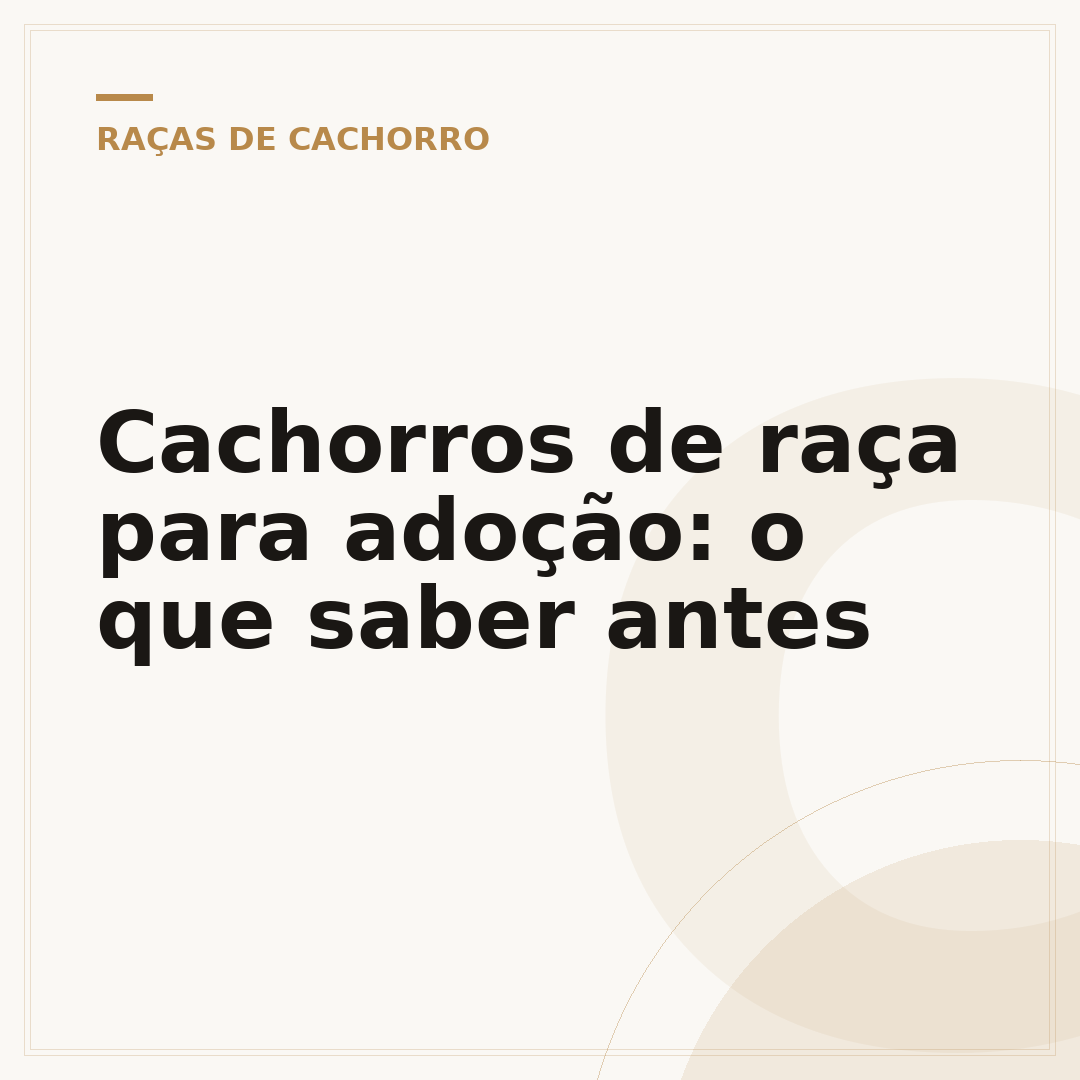 Cachorros de raça para adoção: o que saber antes