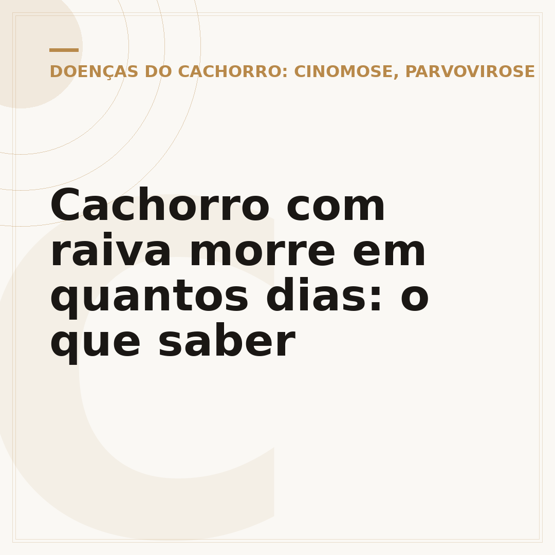 Cachorro com raiva morre em quantos dias: o que saber