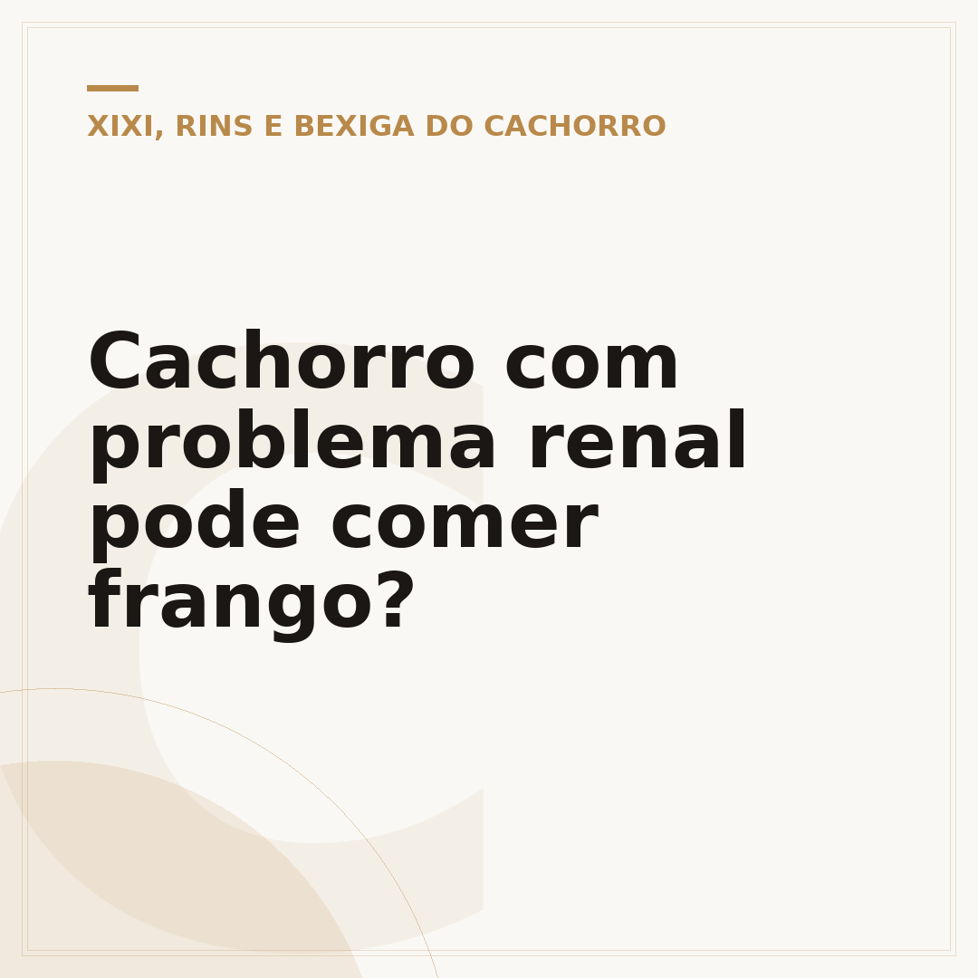 Cachorro com problema renal pode comer frango?