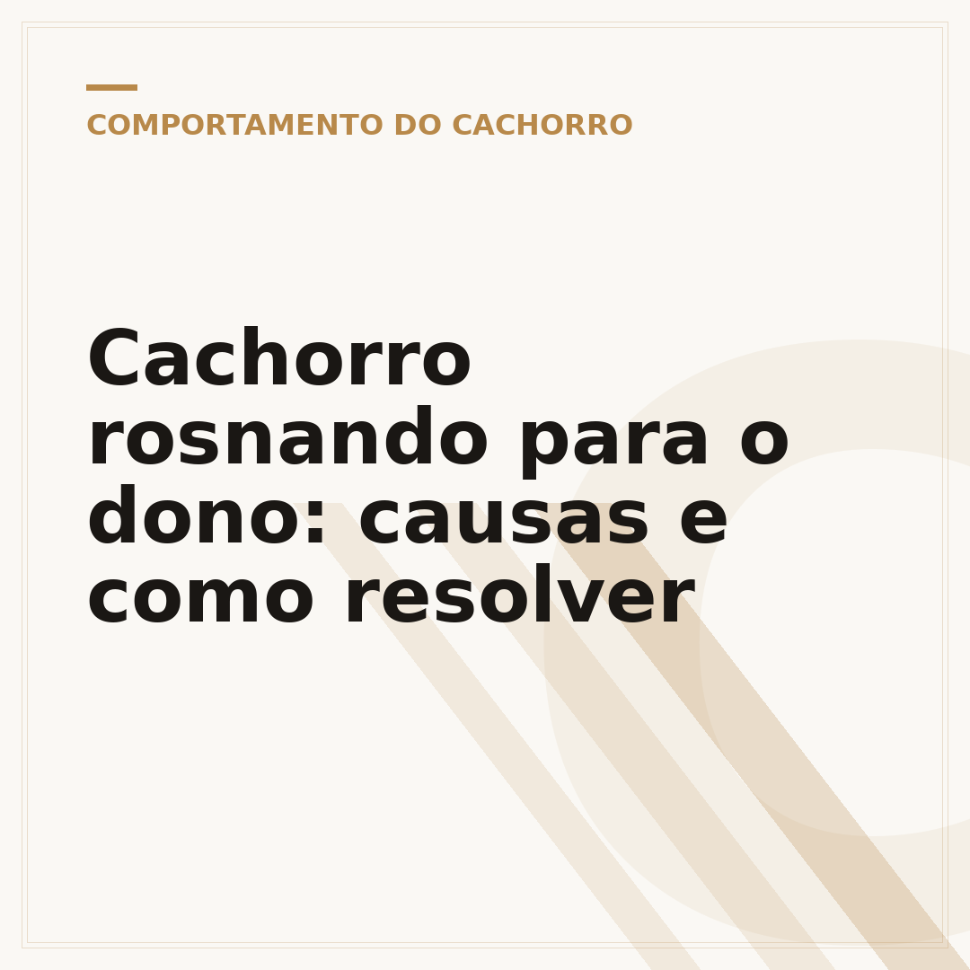 Cachorro rosnando para o dono: causas e como resolver