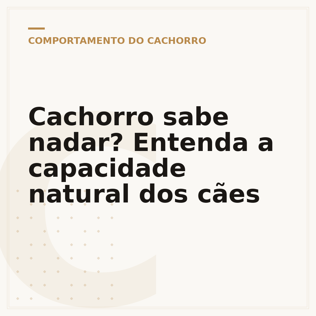 Cachorro sabe nadar? Entenda a capacidade natural dos cães