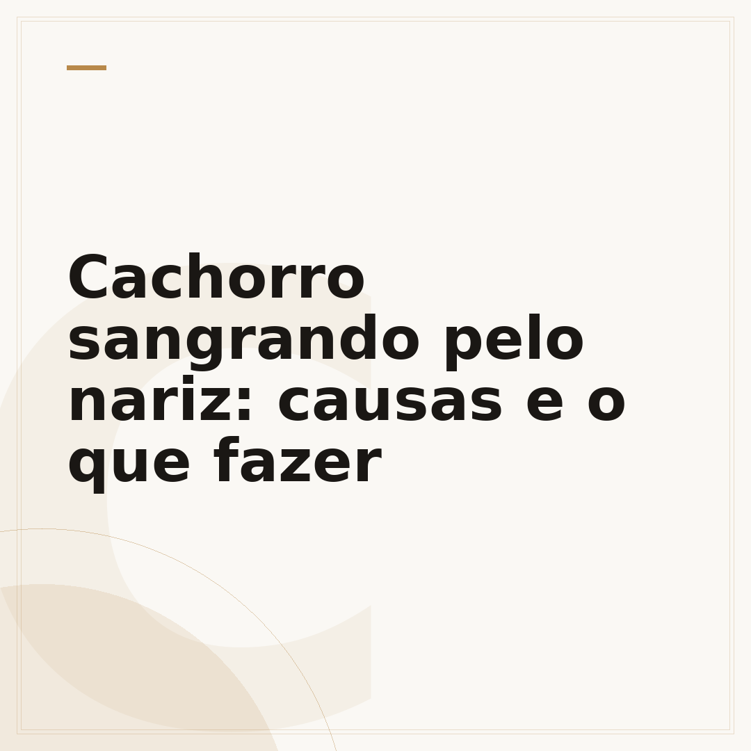 Cachorro sangrando pelo nariz: causas e o que fazer