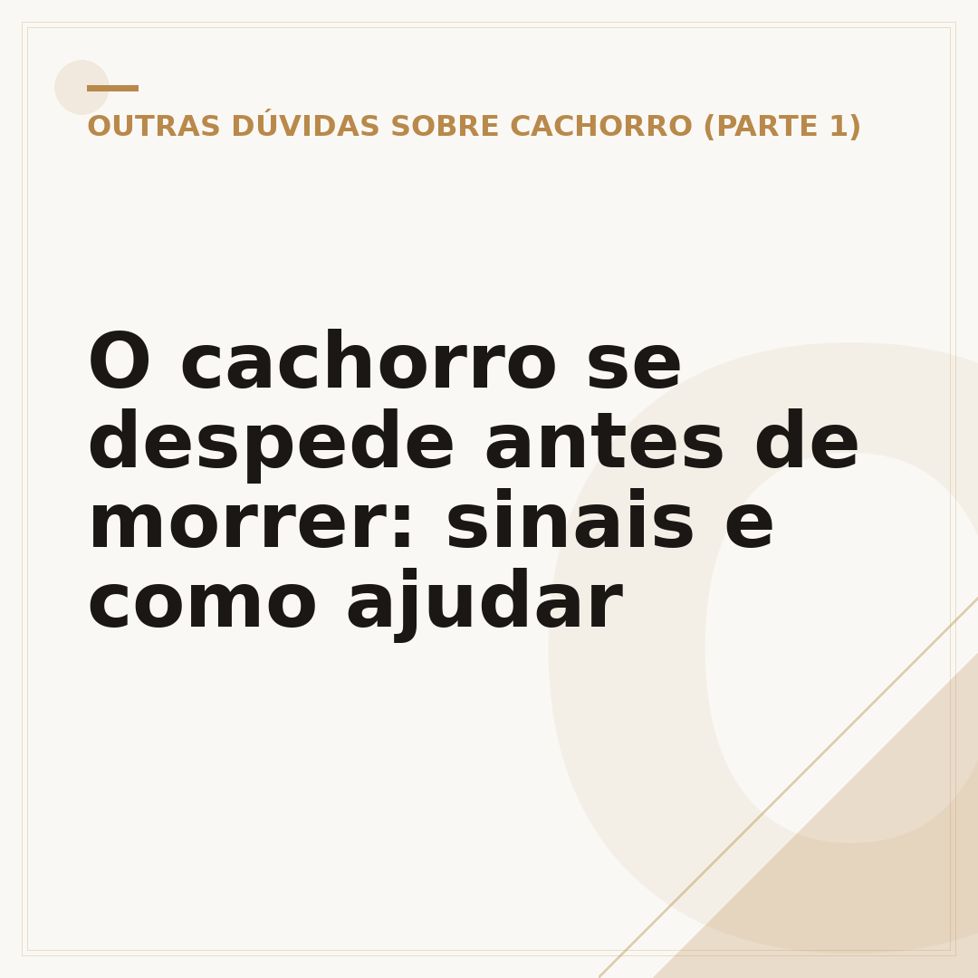 O cachorro se despede antes de morrer: sinais e como ajudar