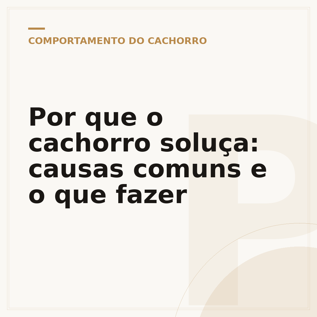Por que o cachorro soluça: causas comuns e o que fazer