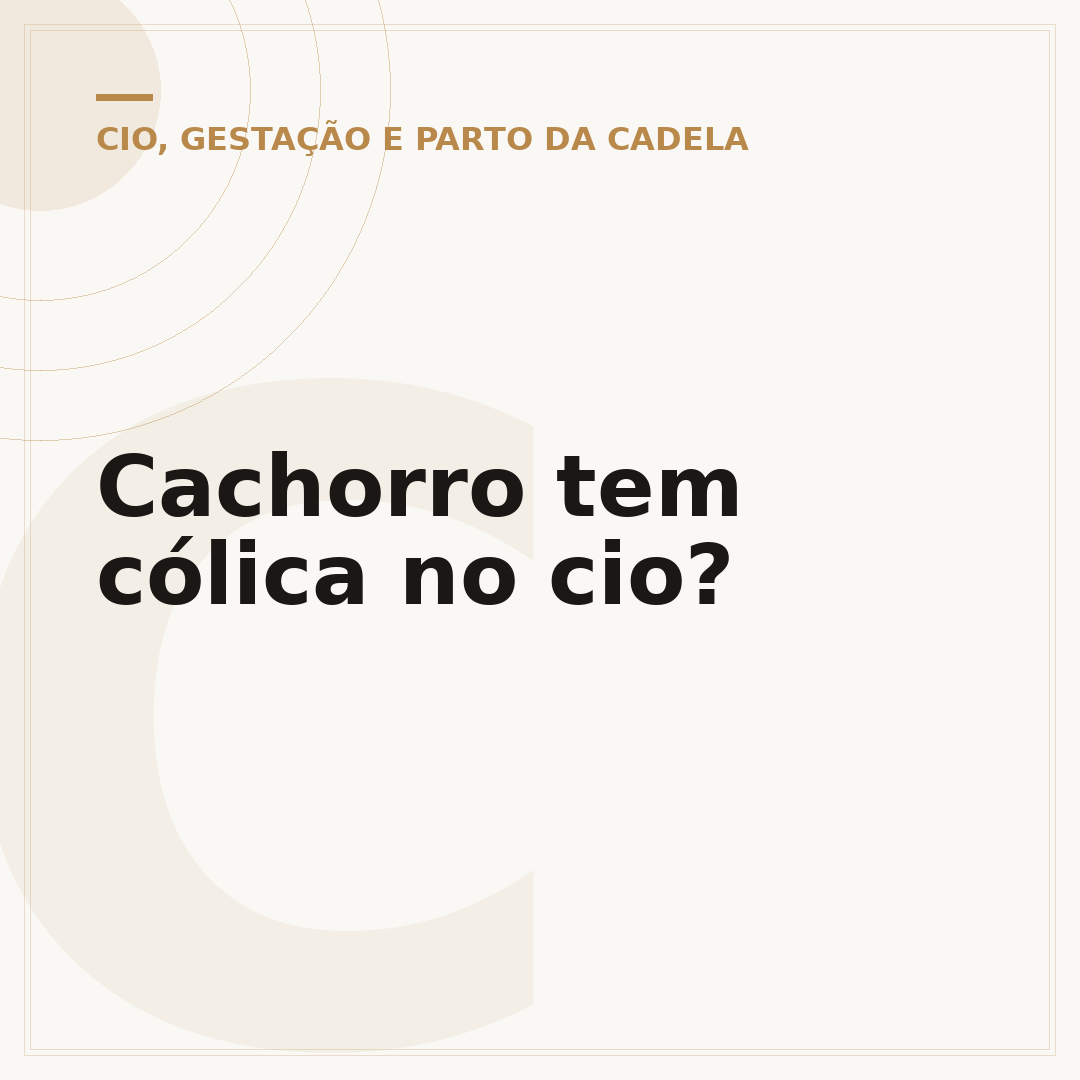 Cachorro tem cólica no cio?