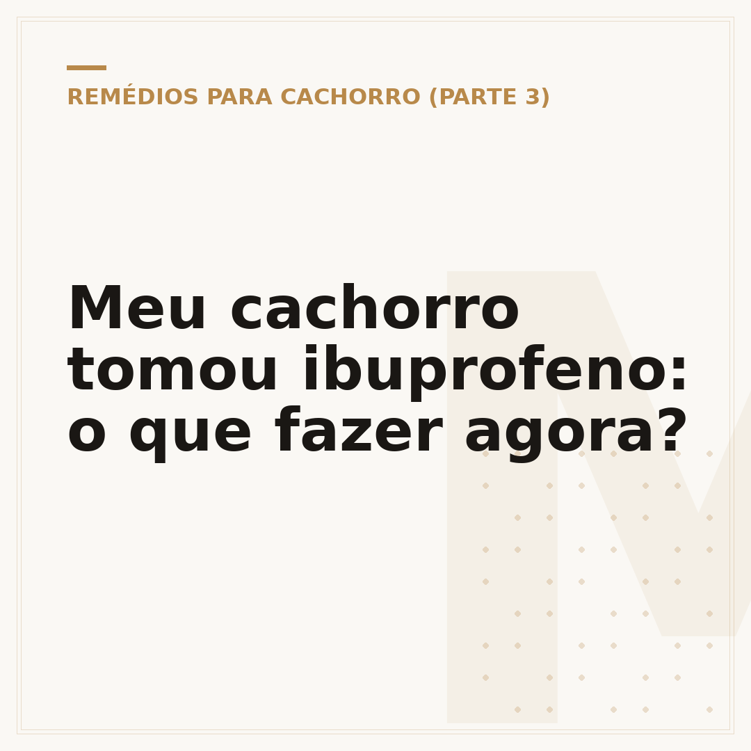 Meu cachorro tomou ibuprofeno: o que fazer agora?