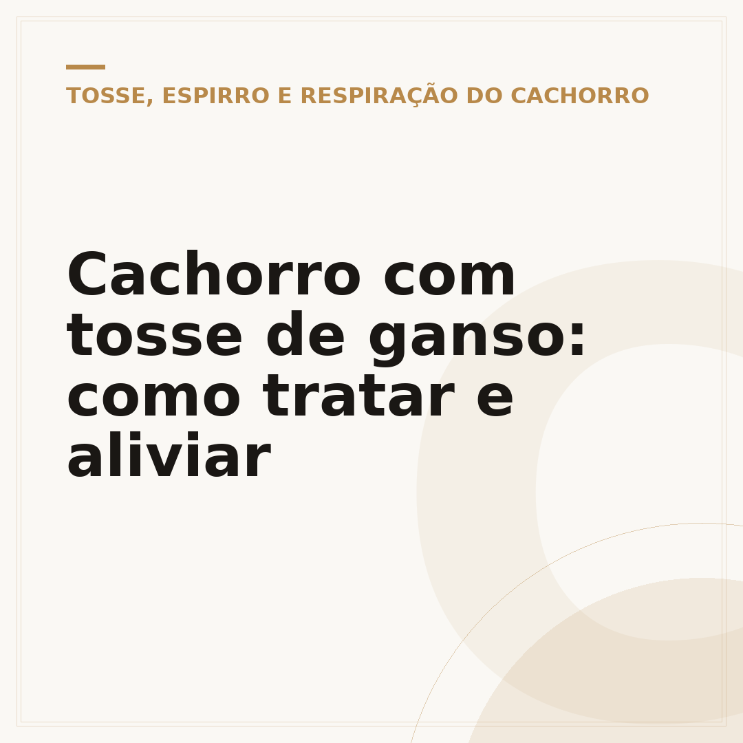 Cachorro com tosse de ganso: como tratar e aliviar