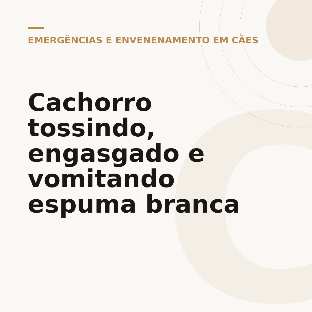 Cachorro tossindo, engasgado e vomitando espuma branca